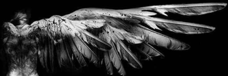 ⁿᵒ ᵖʳᵒᵇˡᵉᵐ banner