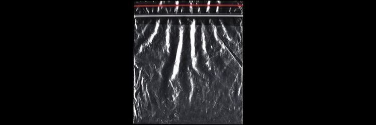 freddie banner