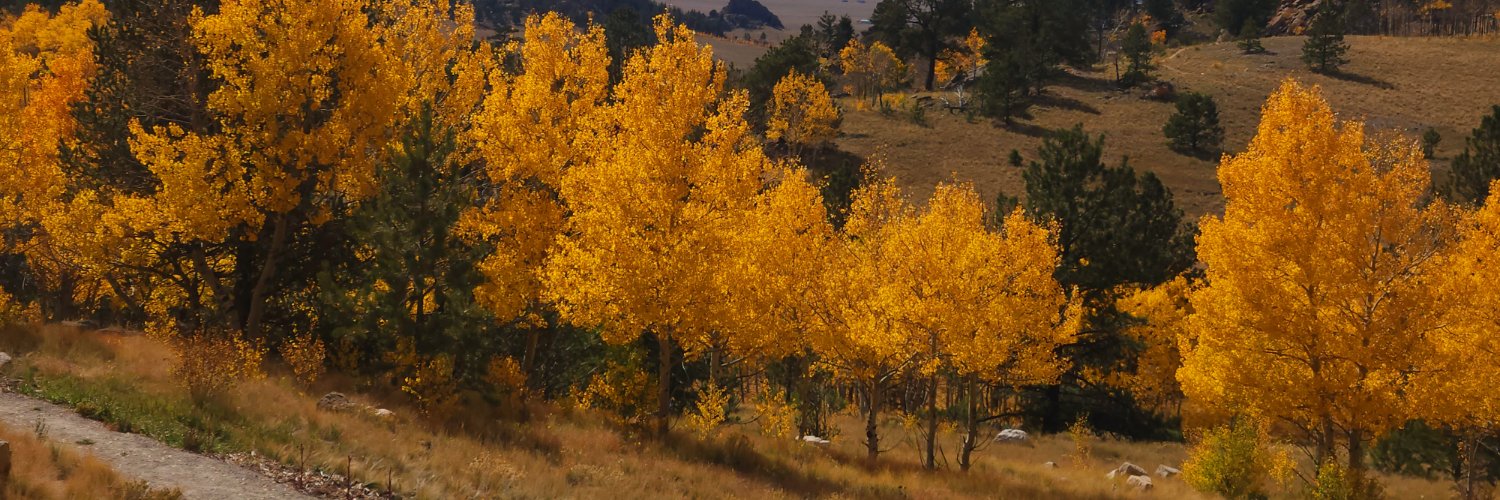 gonford's profile banner image