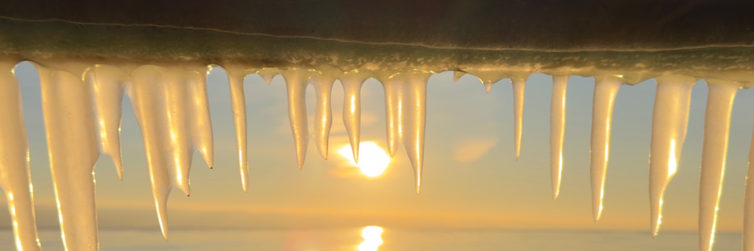 Michigan Go Blue banner