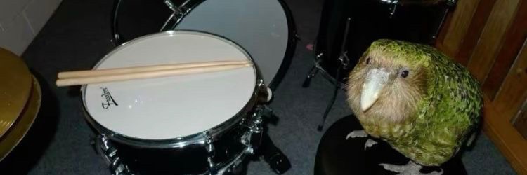 berdly of edtwt 𓂃🪶 banner