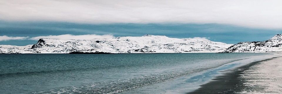 Nature On Earth banner