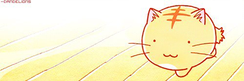 shwmpa's profile banner image