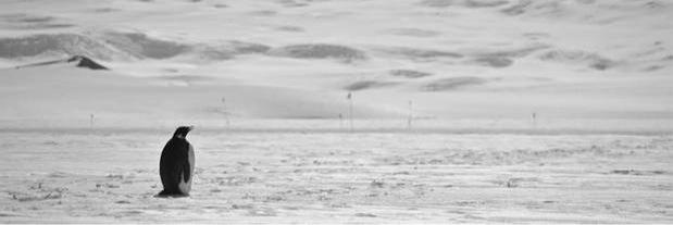 rollyRHD's profile banner image