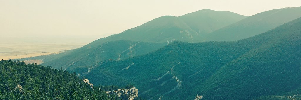 Nadya banner