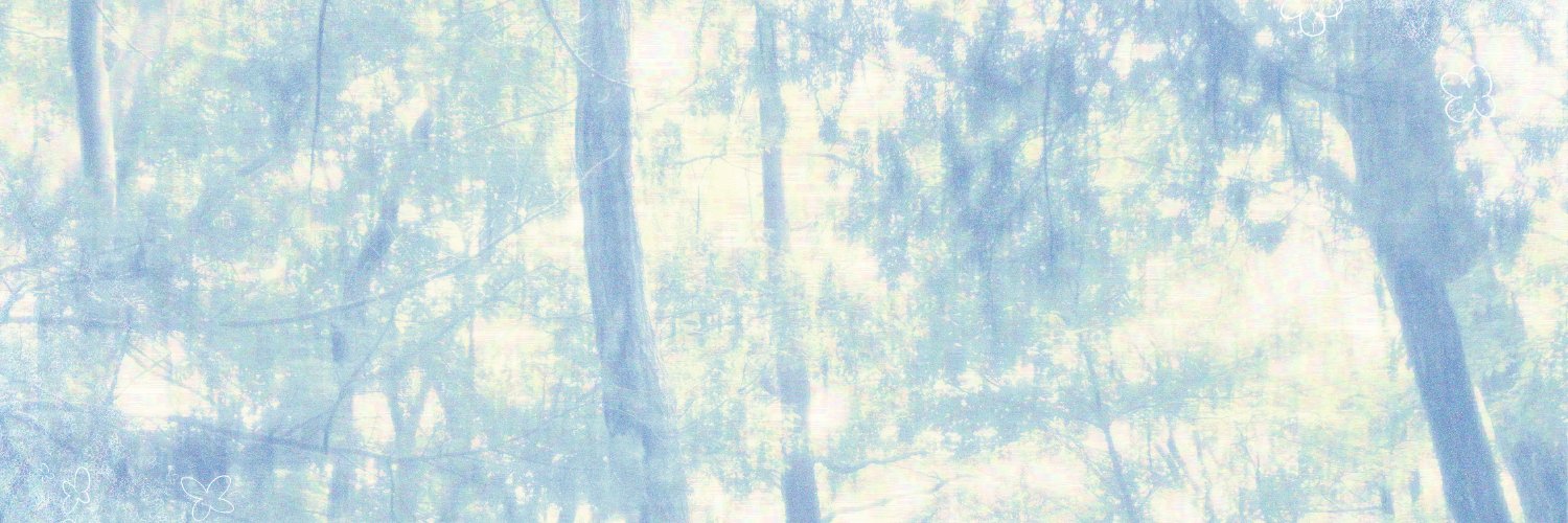 SoranezuNoc (inactive) banner