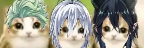 dakuddong's profile banner image