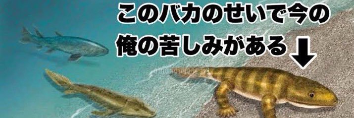 ぼんじり@前垢乗っ取られた banner