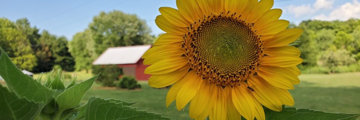 MojoandKarma's profile banner image