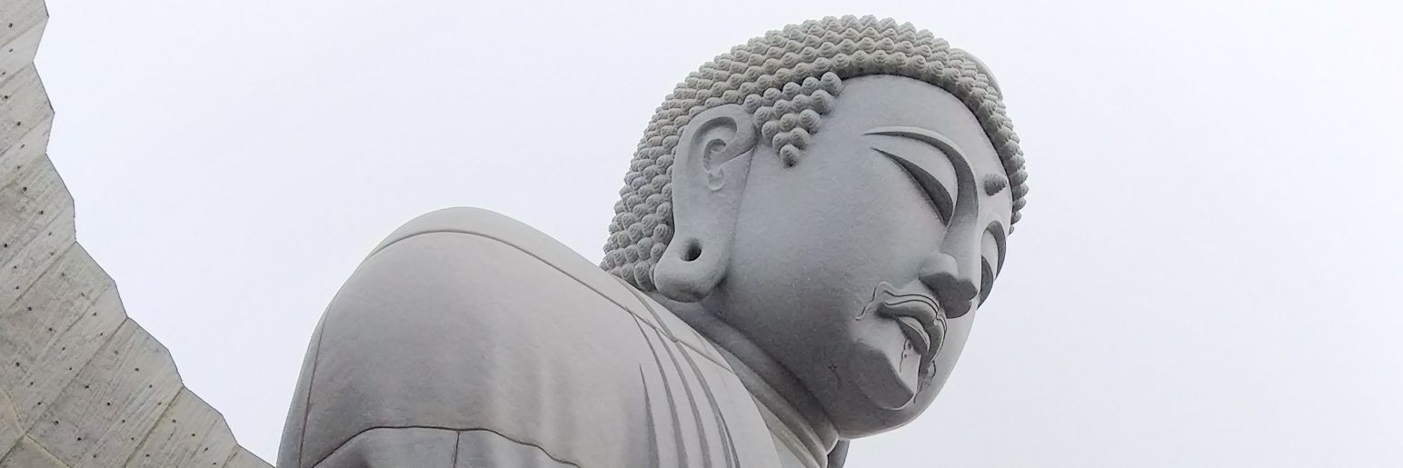 hatamotoa's profile banner image