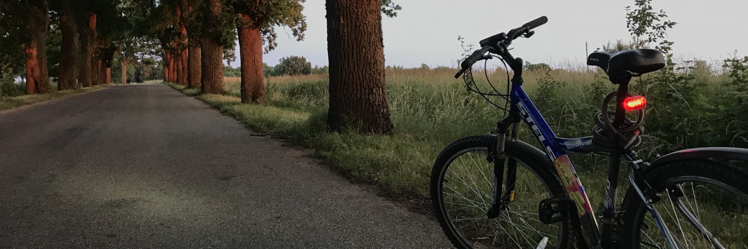wild_orhid's profile banner image