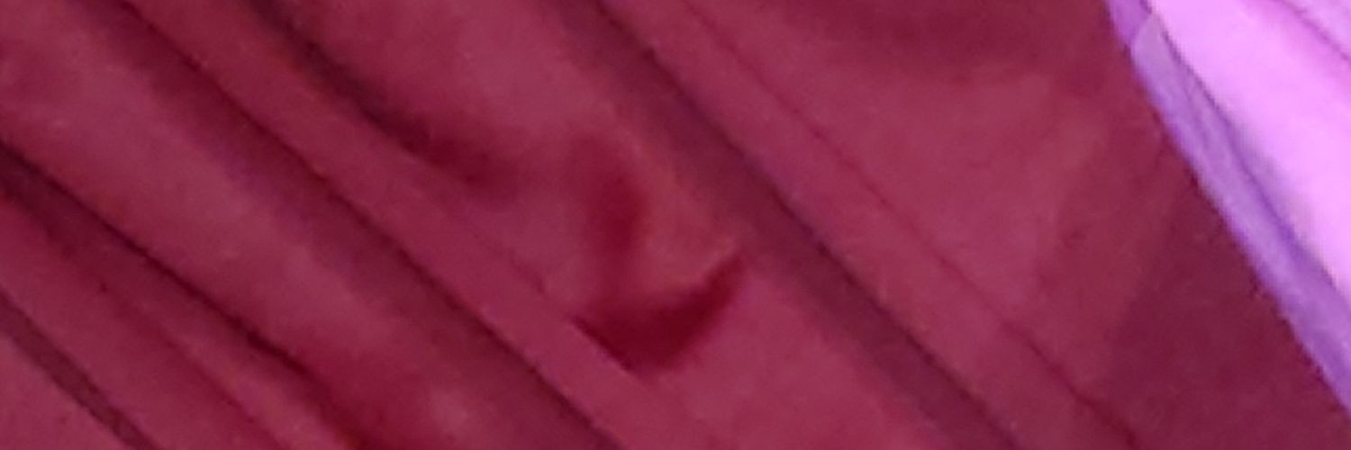 chamuchaan's profile banner image