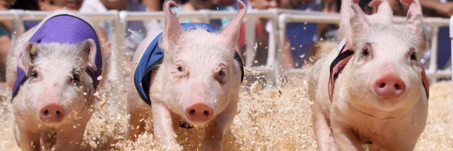 VenturaCtyFair's profile banner image
