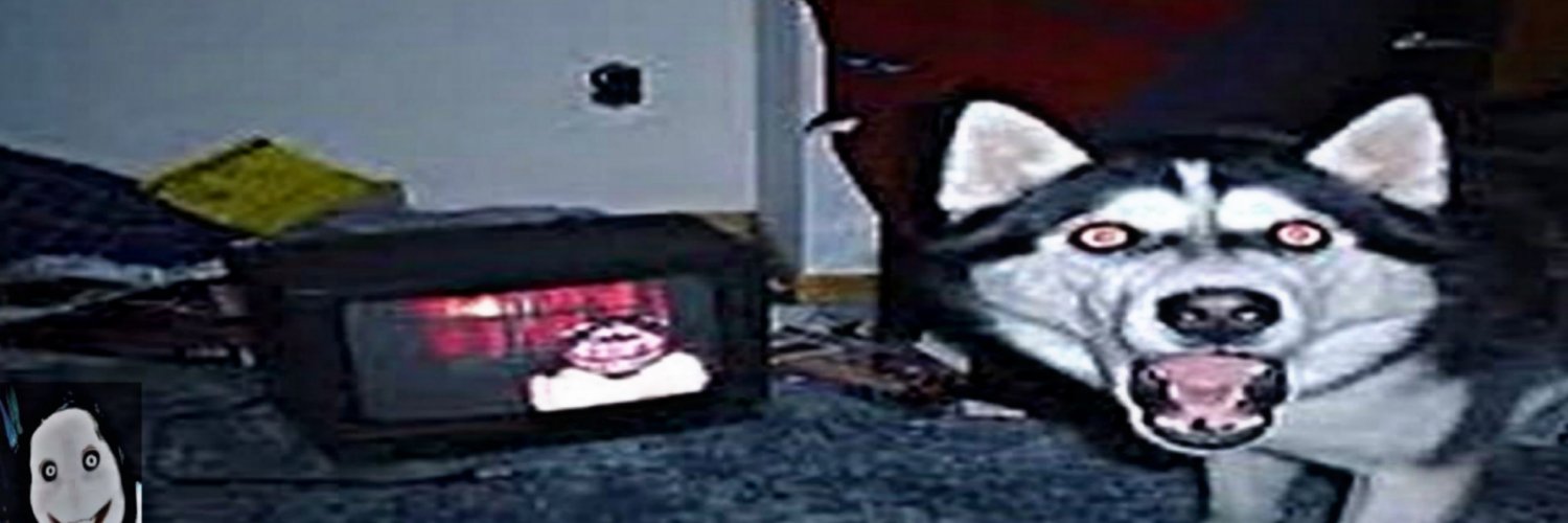 gyn0vore's profile banner image