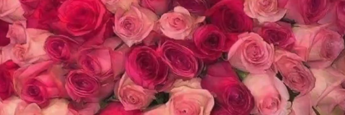 MsReemaAbdullah's profile banner image