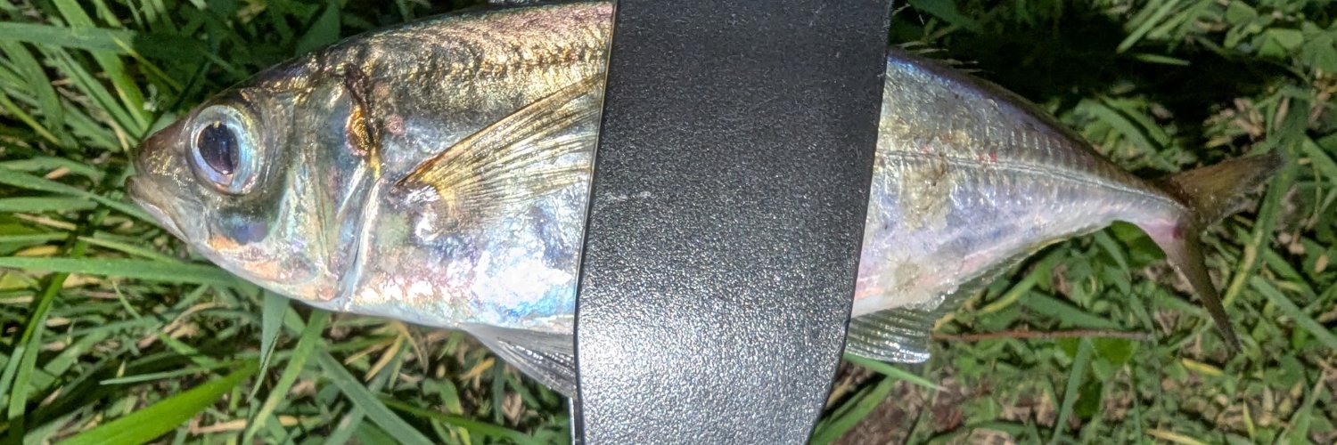 kobootan's profile banner image