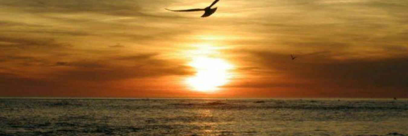 PierGiullaRe 🐺🦄👑🦋 banner