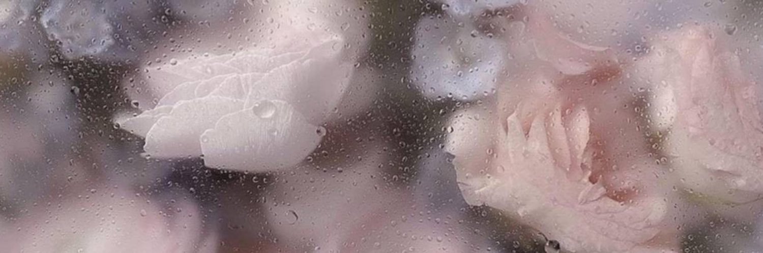 non_non___0's profile banner image