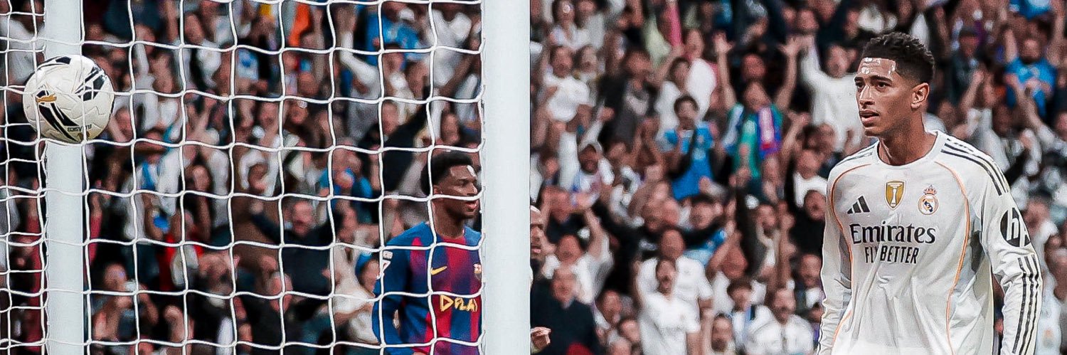 Federico halcon banner