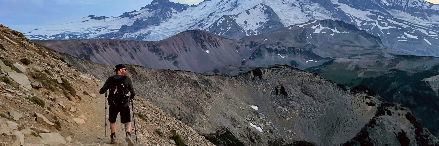 Michael Todd (Insert checkmark here) banner