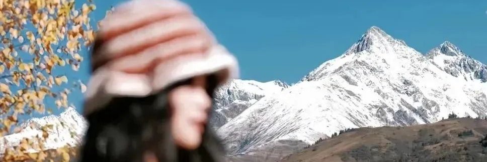 萝莉岛管理员 banner