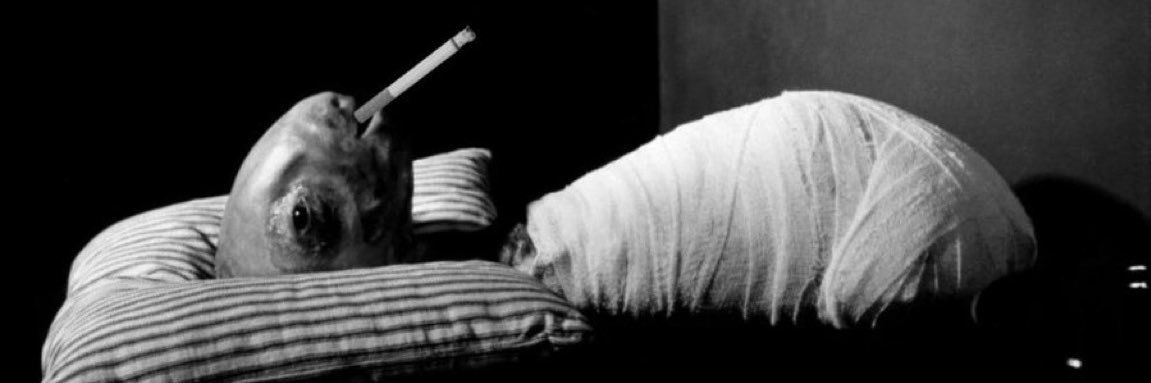 🦕 banner