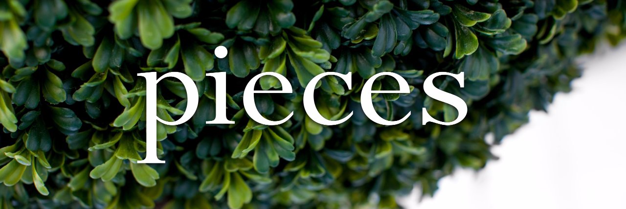 LEE KLEINHELTER banner