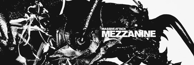🐈‍⬛ banner
