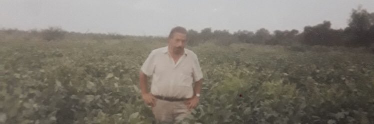 maubvet's profile banner image