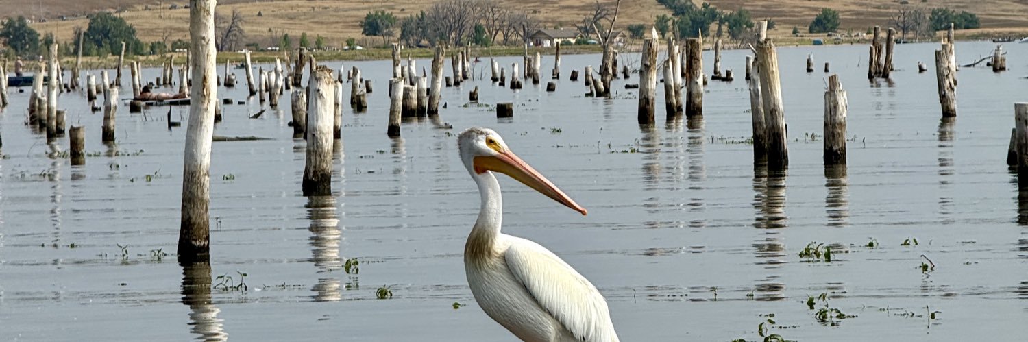 Stanthony ♒️ banner