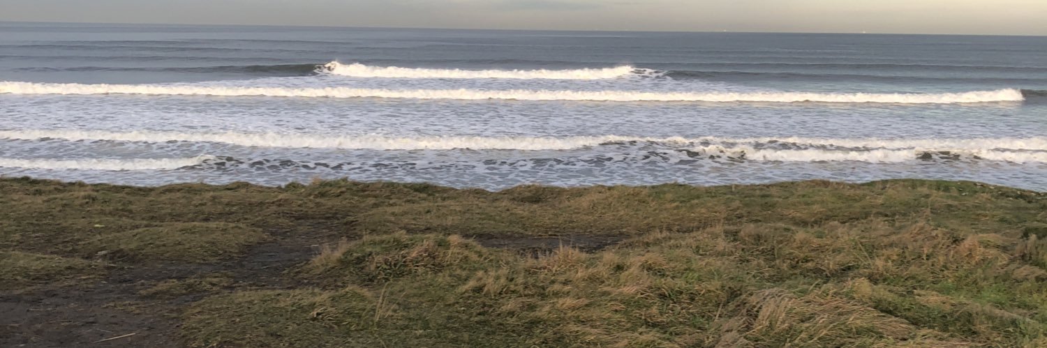 Jeff Fowler #ToryScumOut #CorbynWasRight 🏳️‍⚧️ banner