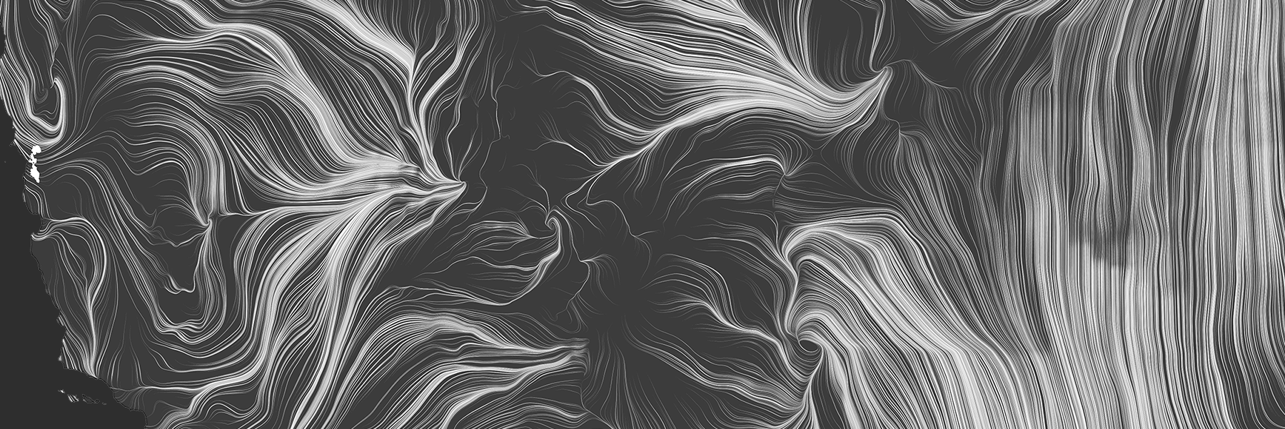 Fernanda Viégas banner