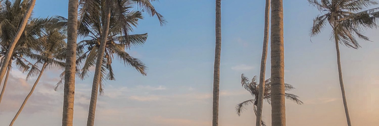 bellaafransiska's profile banner image
