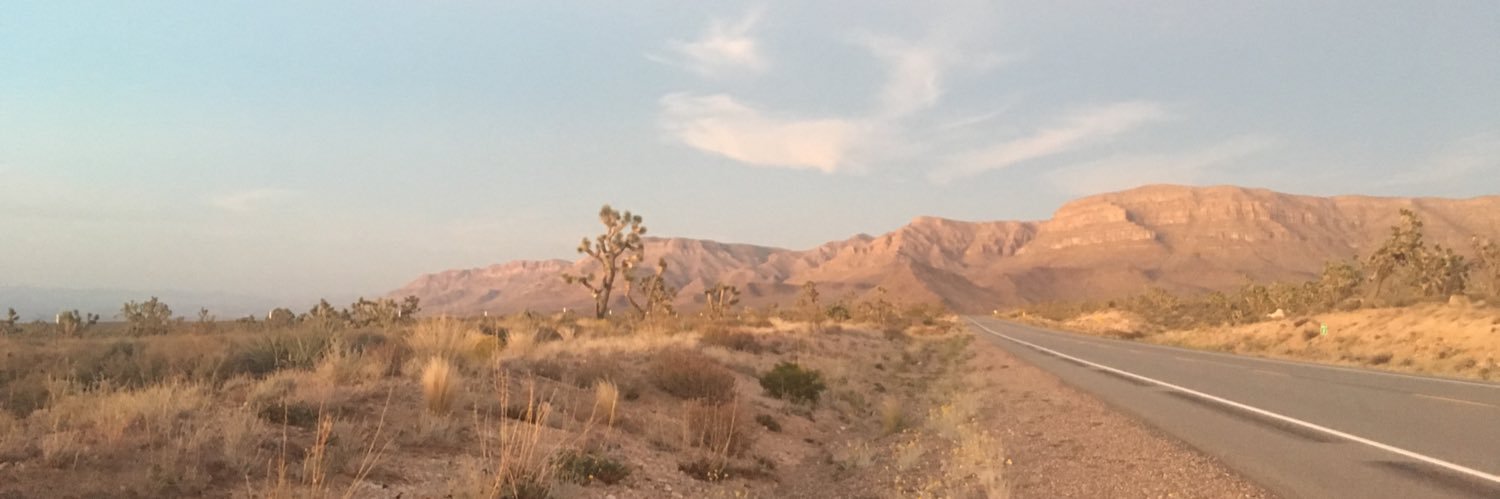 Pinar Yildirim banner