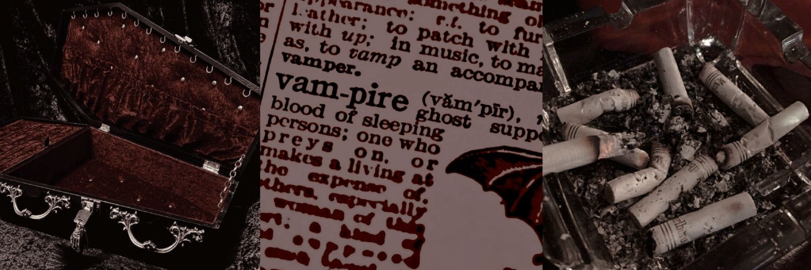 🩸🌕VampVic🌕🩸 banner