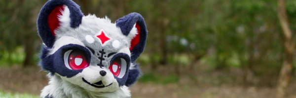 Pogo_racc Profile Banner