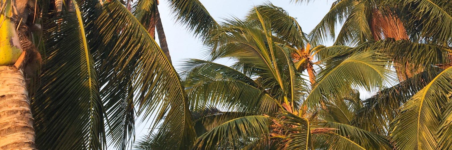 • тρуя • banner