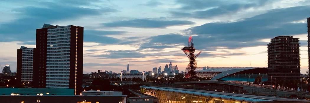 Henry McLean-Low banner