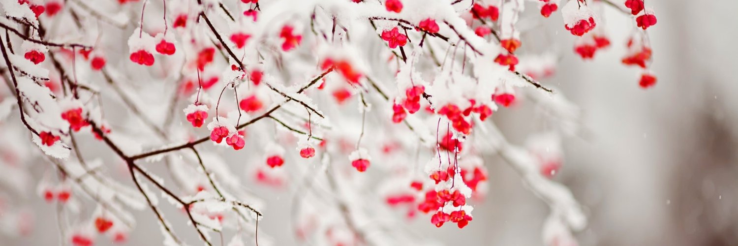 kimberlysnyder's profile banner image