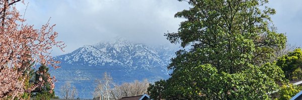 shel Profile Banner