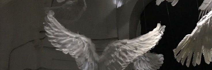 candeladoo's profile banner image