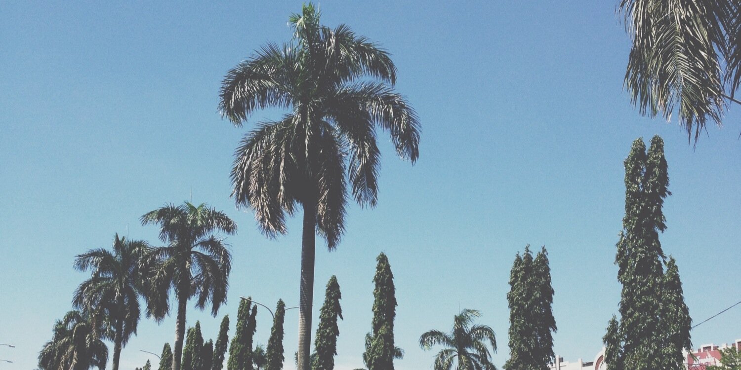RianMRF's profile banner image