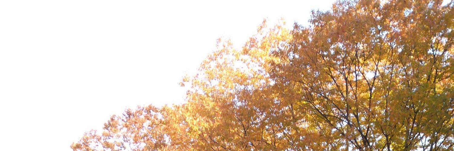 bio_e_cafe's profile banner image