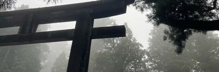 papitoevxo's profile banner image
