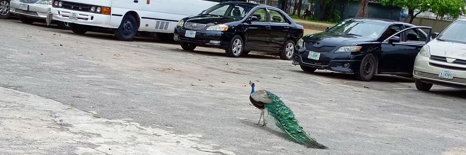 Moore Numental banner