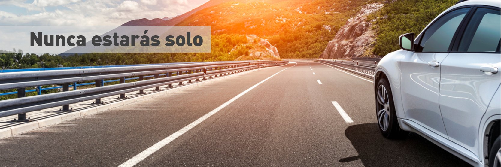 RACE - Real Automóvil Club de España banner