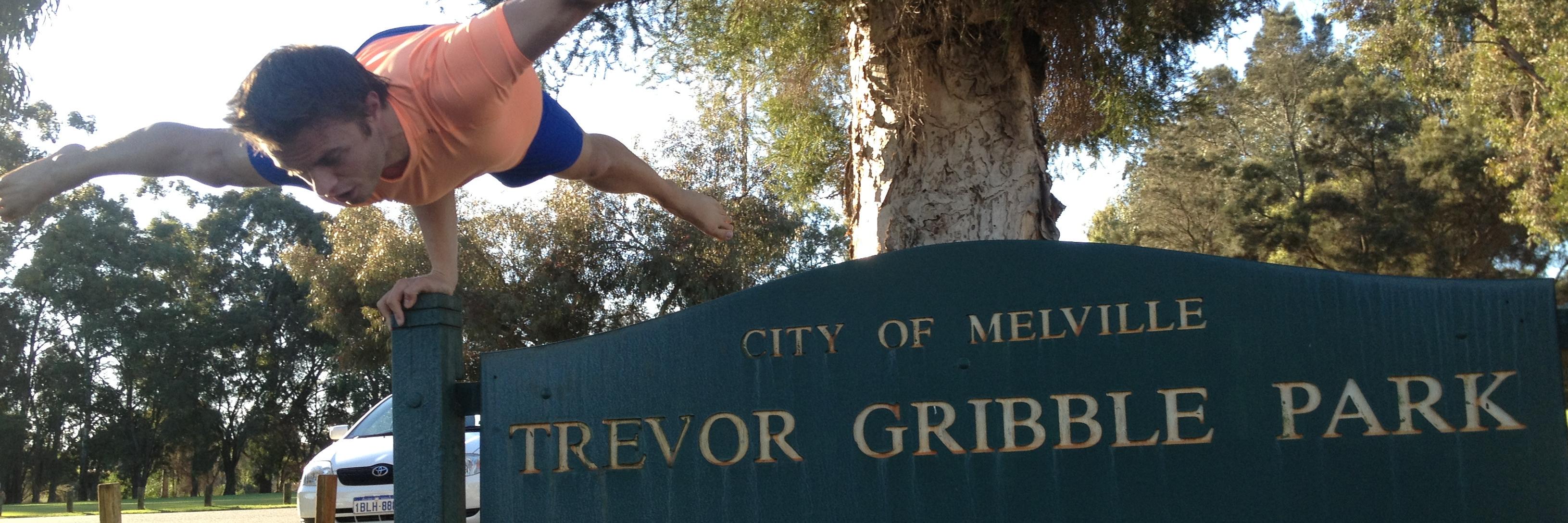 tgribbs's profile banner image