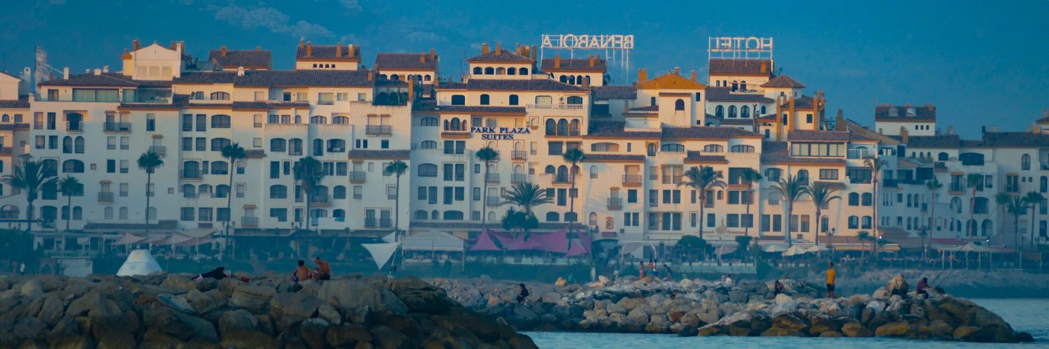 Ramon Albiol banner