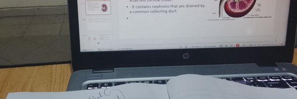 LEVIETICUX Profile Banner