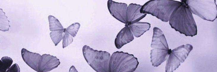widtallyy banner